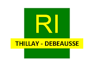 Logo R-I-Thillay