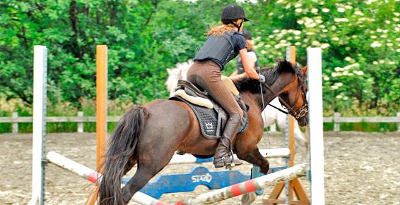 Ferme Equestre de Neiscaouen à Landévennec - Centres équestres 