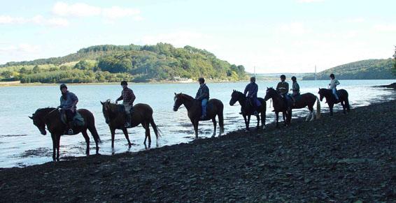 Centres équestres équitation - Ferme Equestre de Neiscaouen