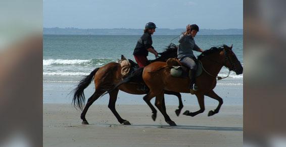 Ferme Equestre de Neiscaouen à Landévennec - Ecole d'équitation
