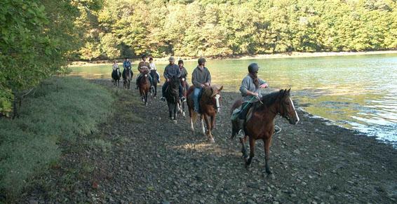 Ecole d'équitation - Ferme Equestre de Neiscaouen