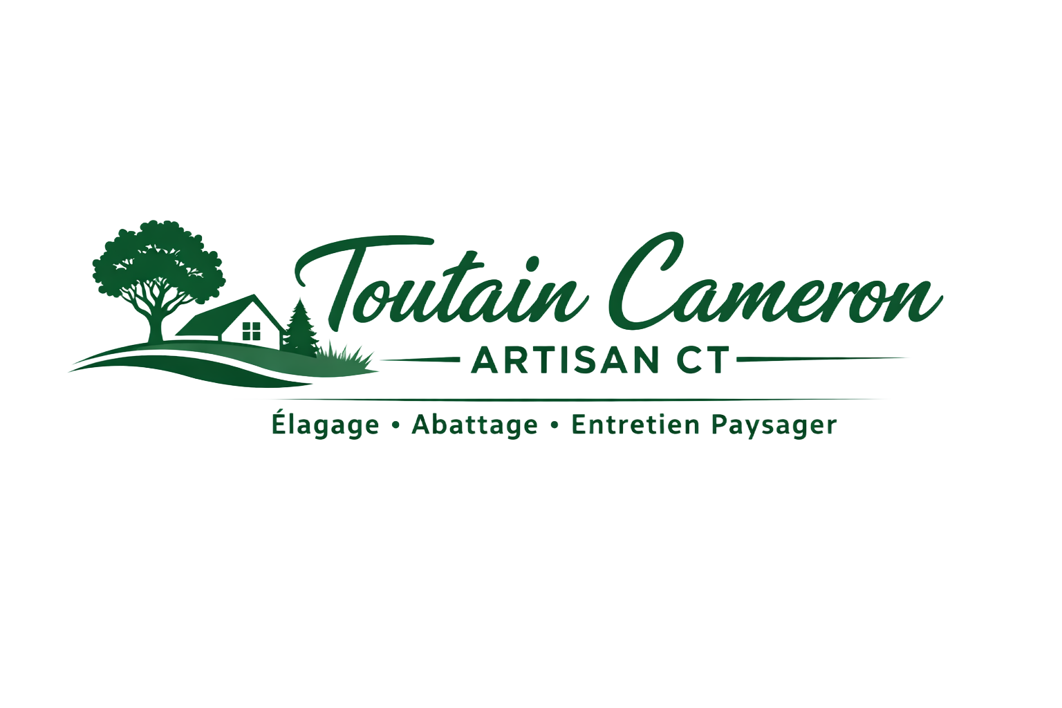 Logo pour « Toutain Cameron Artisan CT », texte et graphismes verts.