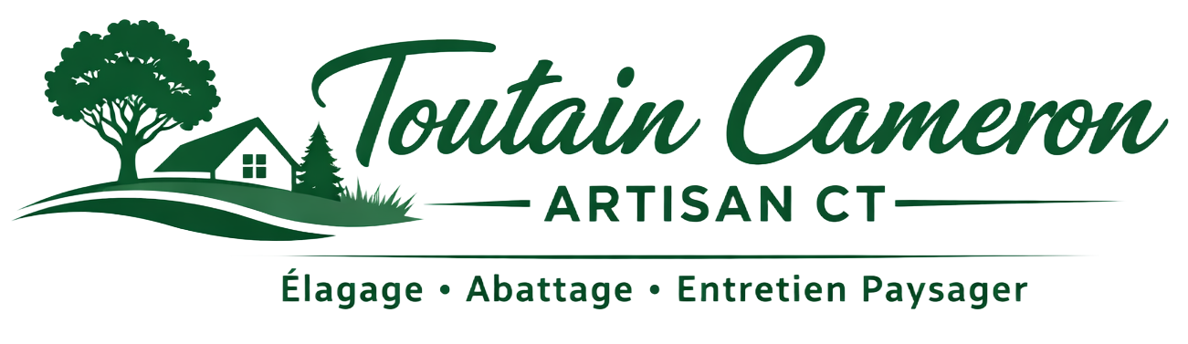 Logo de « Toutain Cameron Artisan CT » avec des arbres, une maison et des descriptions de services en français.