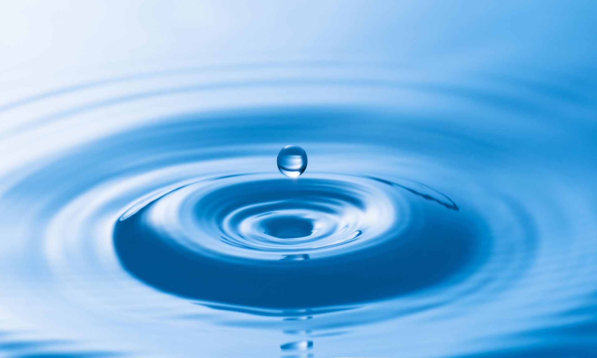 Wassersäuberung bei Erbach Schritt für Schritt erklärt