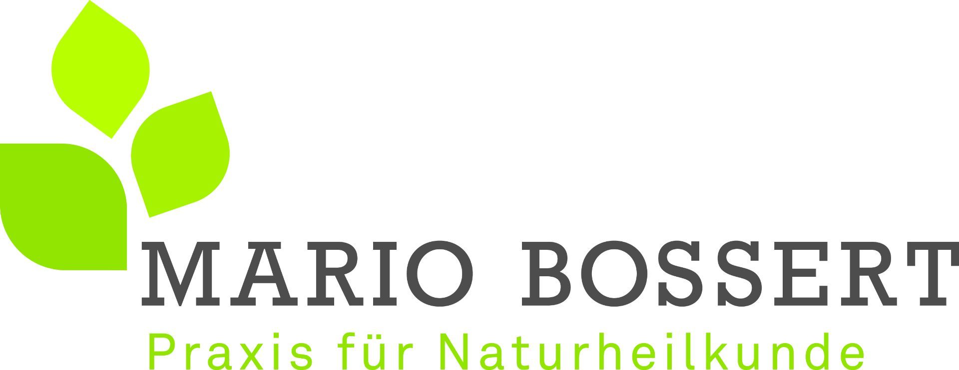 Ein Logo für eine Firma namens Mario Bossert