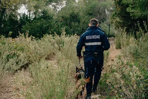 Un hombre camina con un perro con correa en el bosque.
