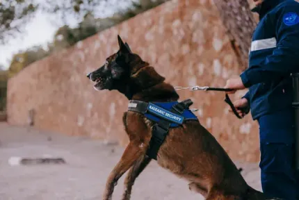 Un hombre pasea a un perro con correa.