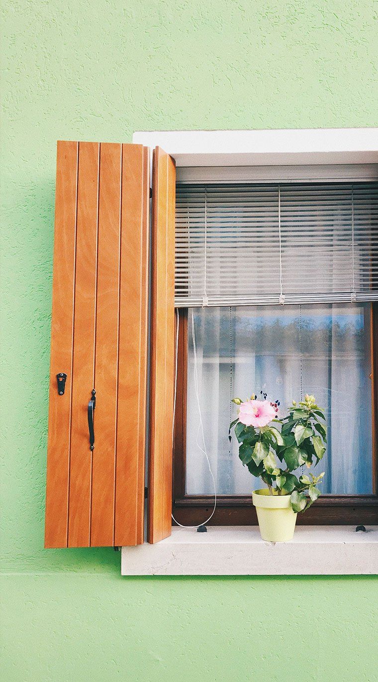 Fenêtre en bois avec un pot de fleur posé sur le rebord
