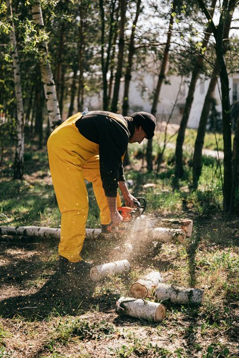 Una persona con un mono amarillo brillante utiliza una motosierra para cortar troncos en una zona boscosa, rodeada de astillas de madera que salen volando.