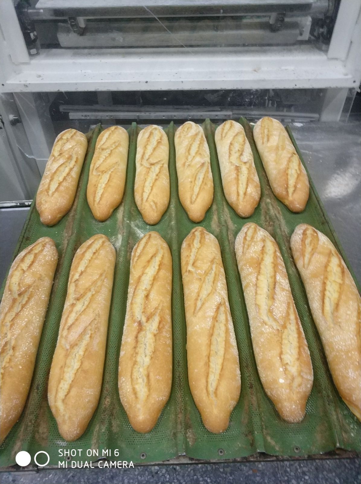 Un montón de hogazas de pan están colocadas en una bandeja verde.