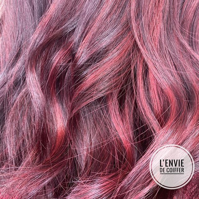 L'Envie de coiffer