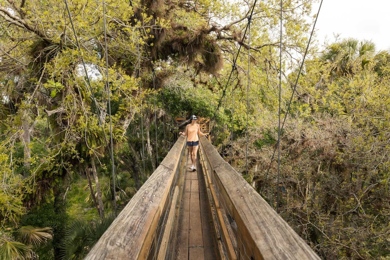 Person walking on wooden boardwalk through lush green trees.