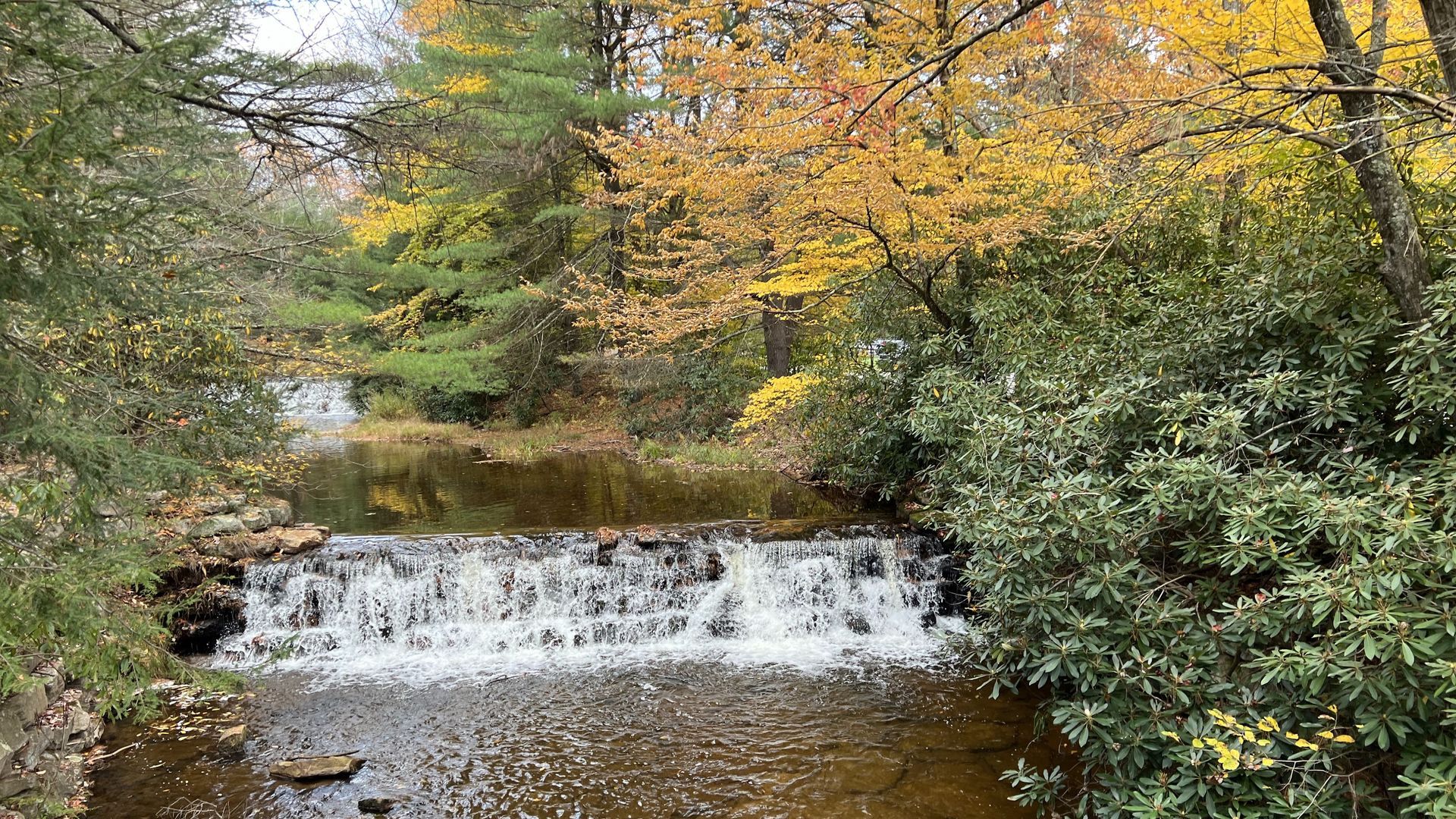 A small waterfall cascading into a stream, surrounded by trees with autumn foliage.