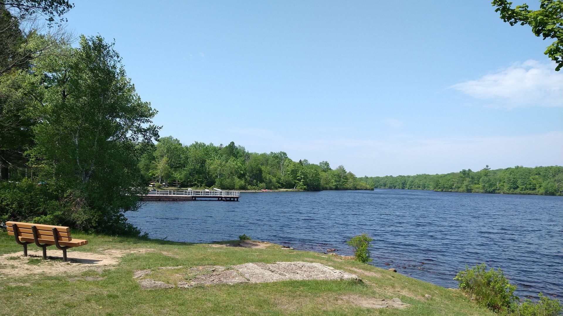 A sunny lakeside view with trees, a bench, and a dock on the water.