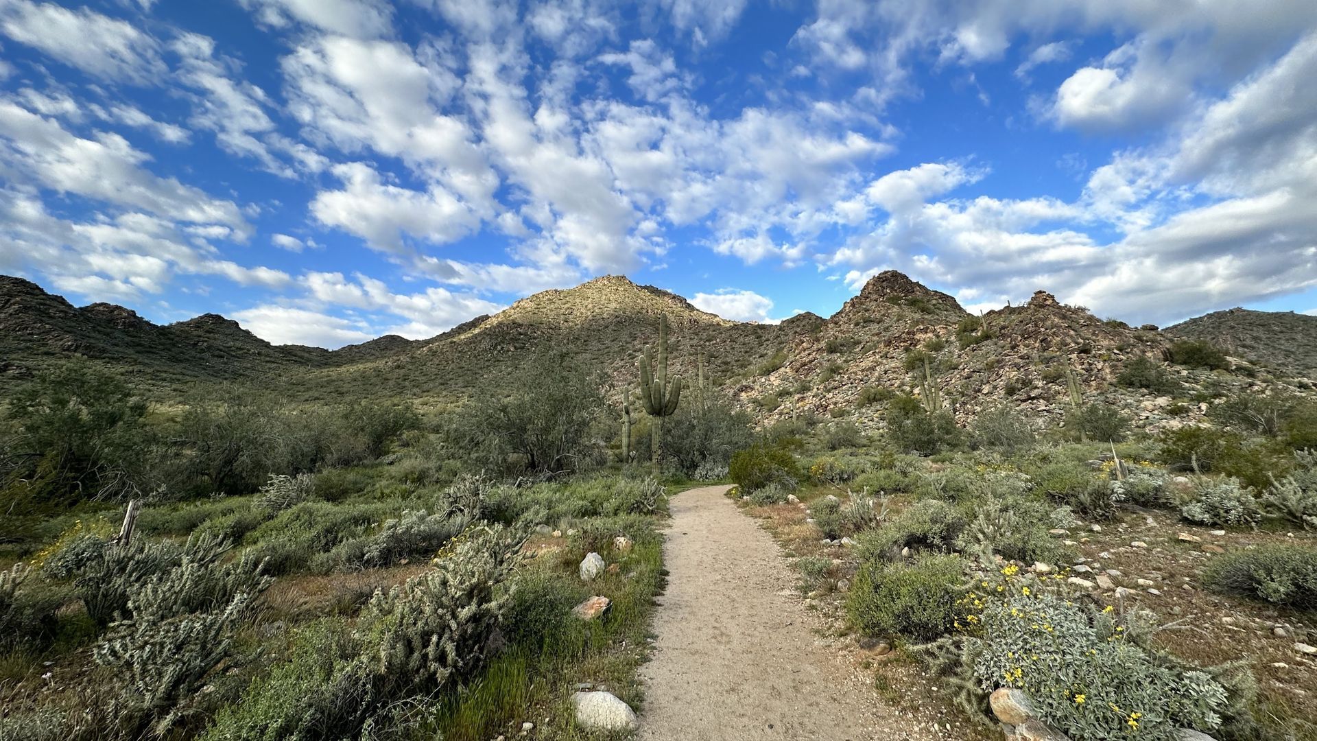 Desert hiking trail leading toward a rocky mountain under a blue sky with fluffy clouds.