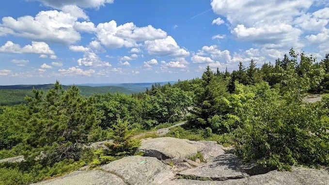 View from a mountaintop, overlooking green forest and a blue sky with fluffy white clouds.