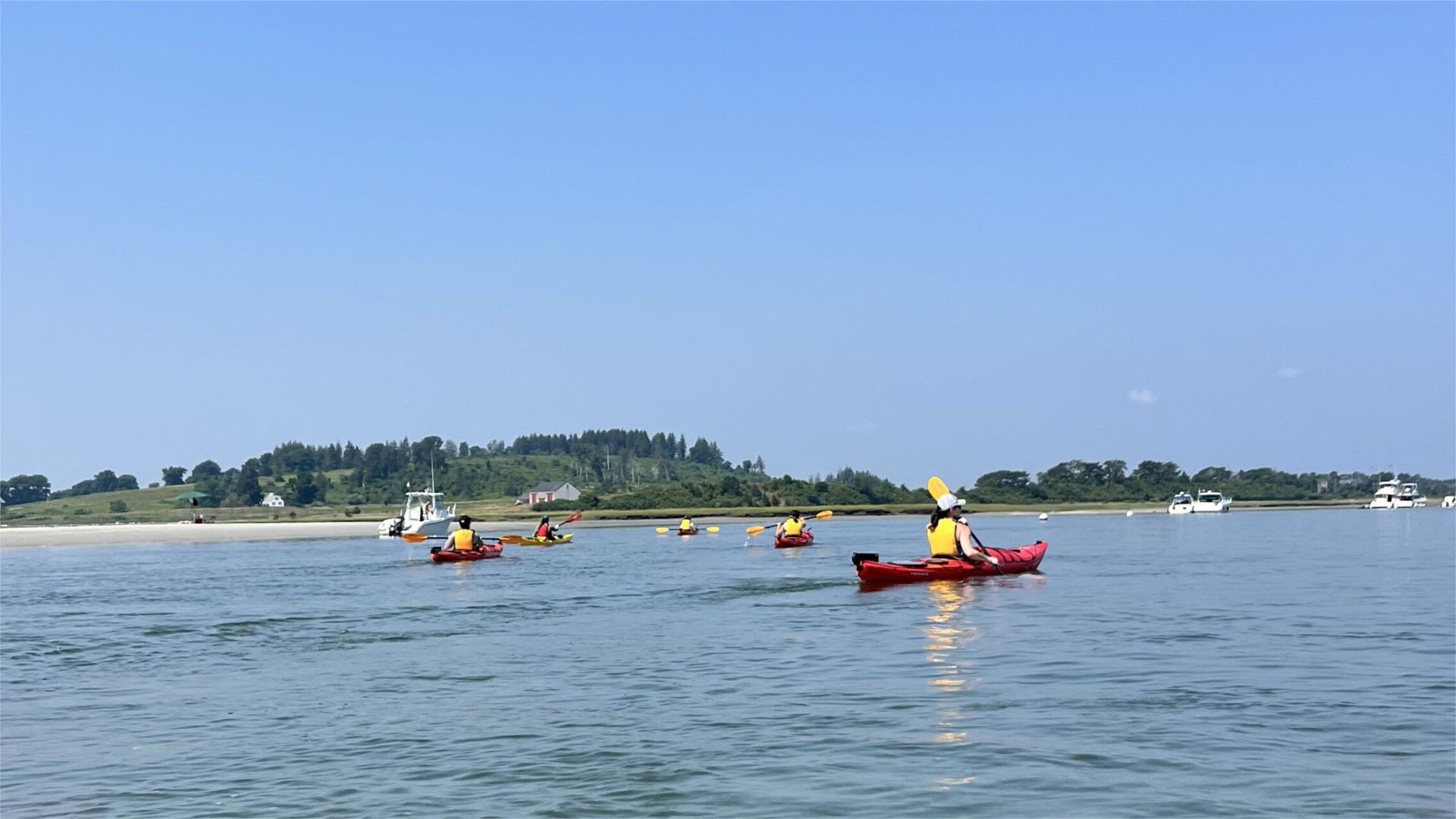 Kayakers paddle in a body of water towards a shore on a sunny day.