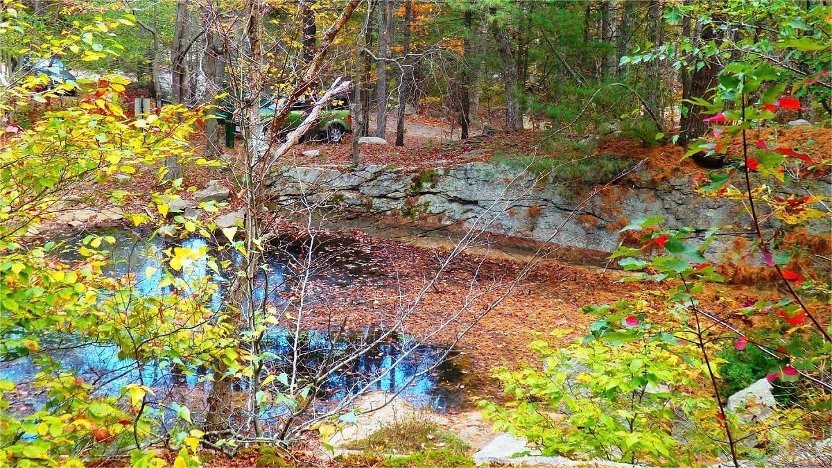 Autumnal scene: Reflective lake surrounded by trees with colorful foliage.