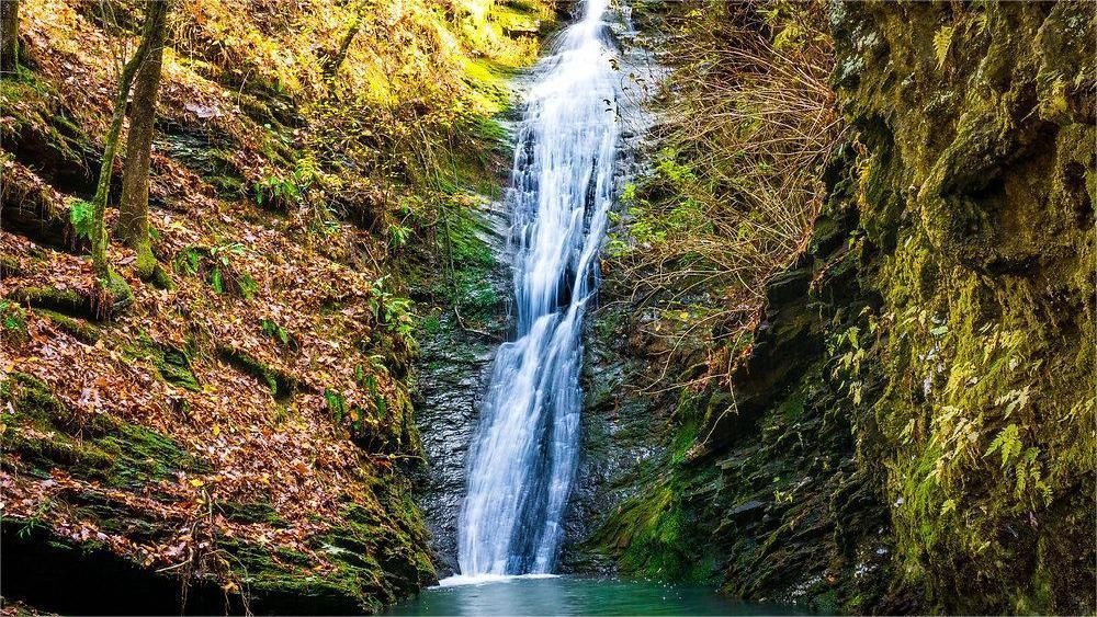 Waterfall cascading down a rocky cliff face into a clear pool, surrounded by lush vegetation.