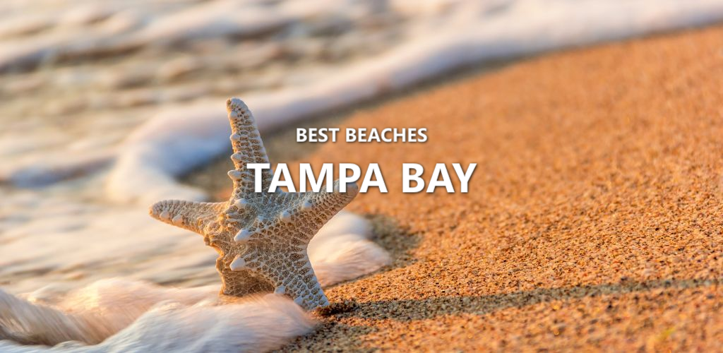 Starfish on beach, Tampa Bay Beaches. White text overlay: Things to do. Golden sand, foamy water, sunny.