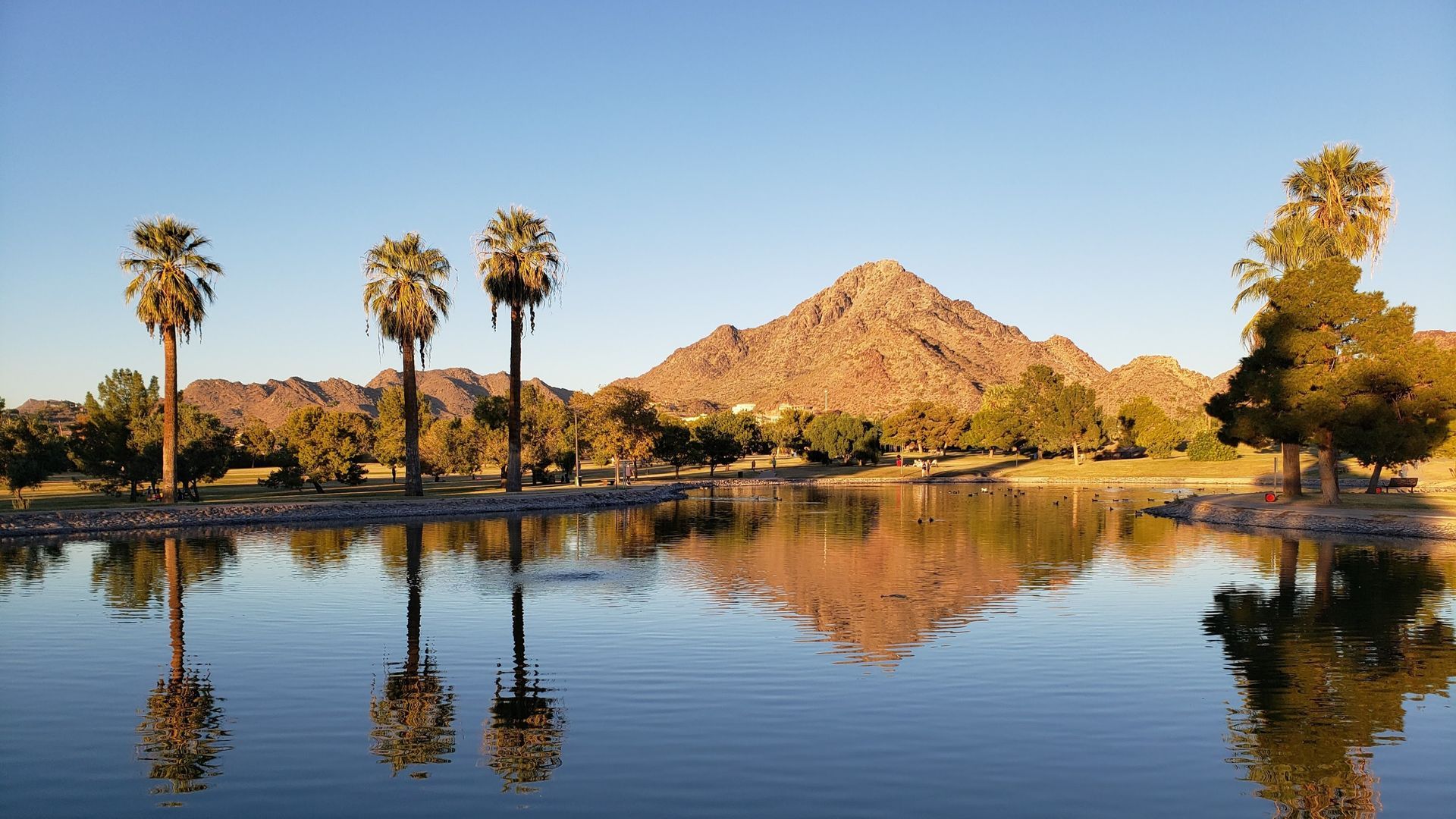 Palm trees line a calm lake reflecting a brown mountain under a clear blue sky.