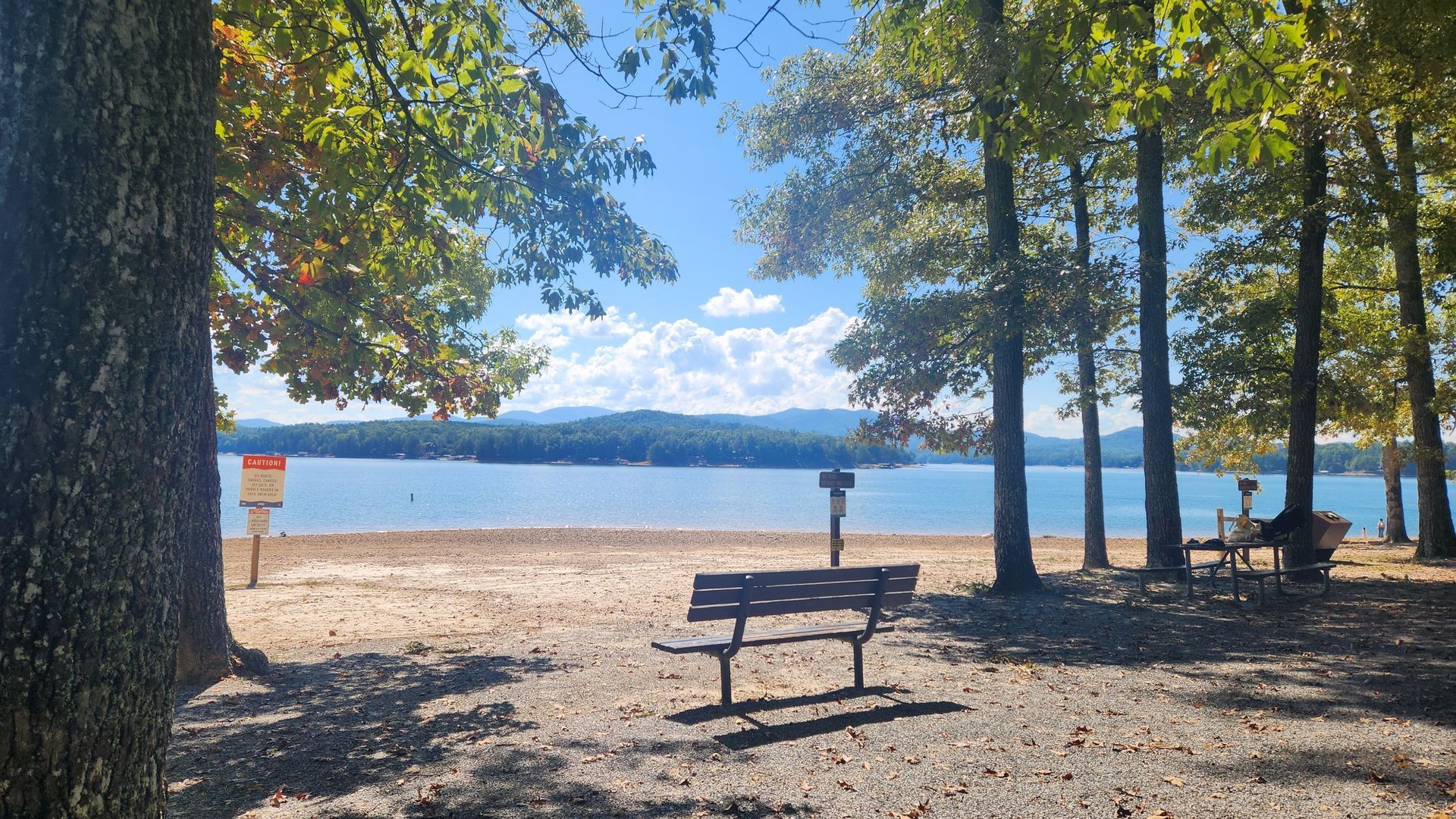 A bench faces a calm lake surrounded by trees under a bright blue sky with light clouds.