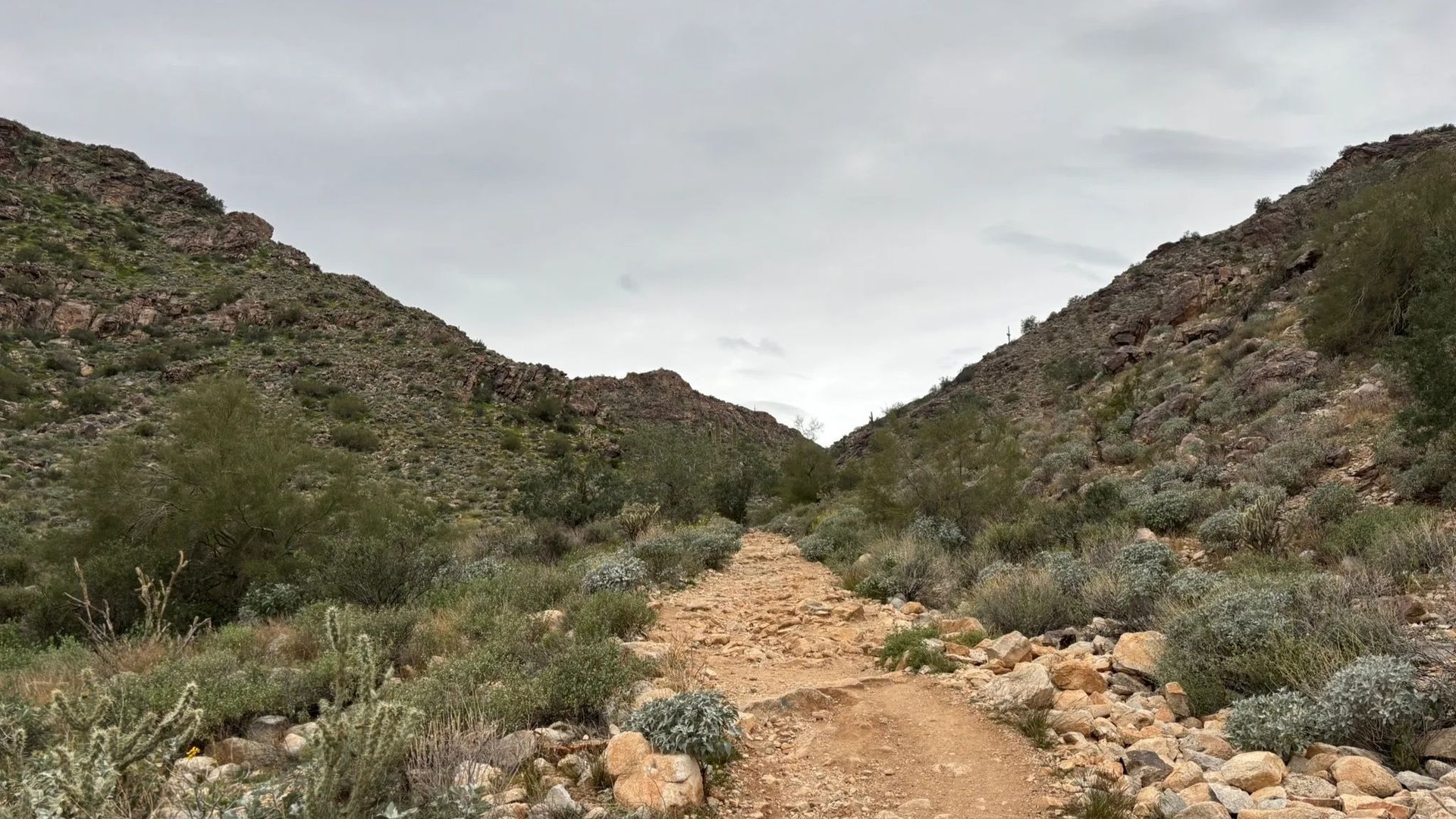Rocky hiking trail through a canyon with vegetation, under a cloudy sky.