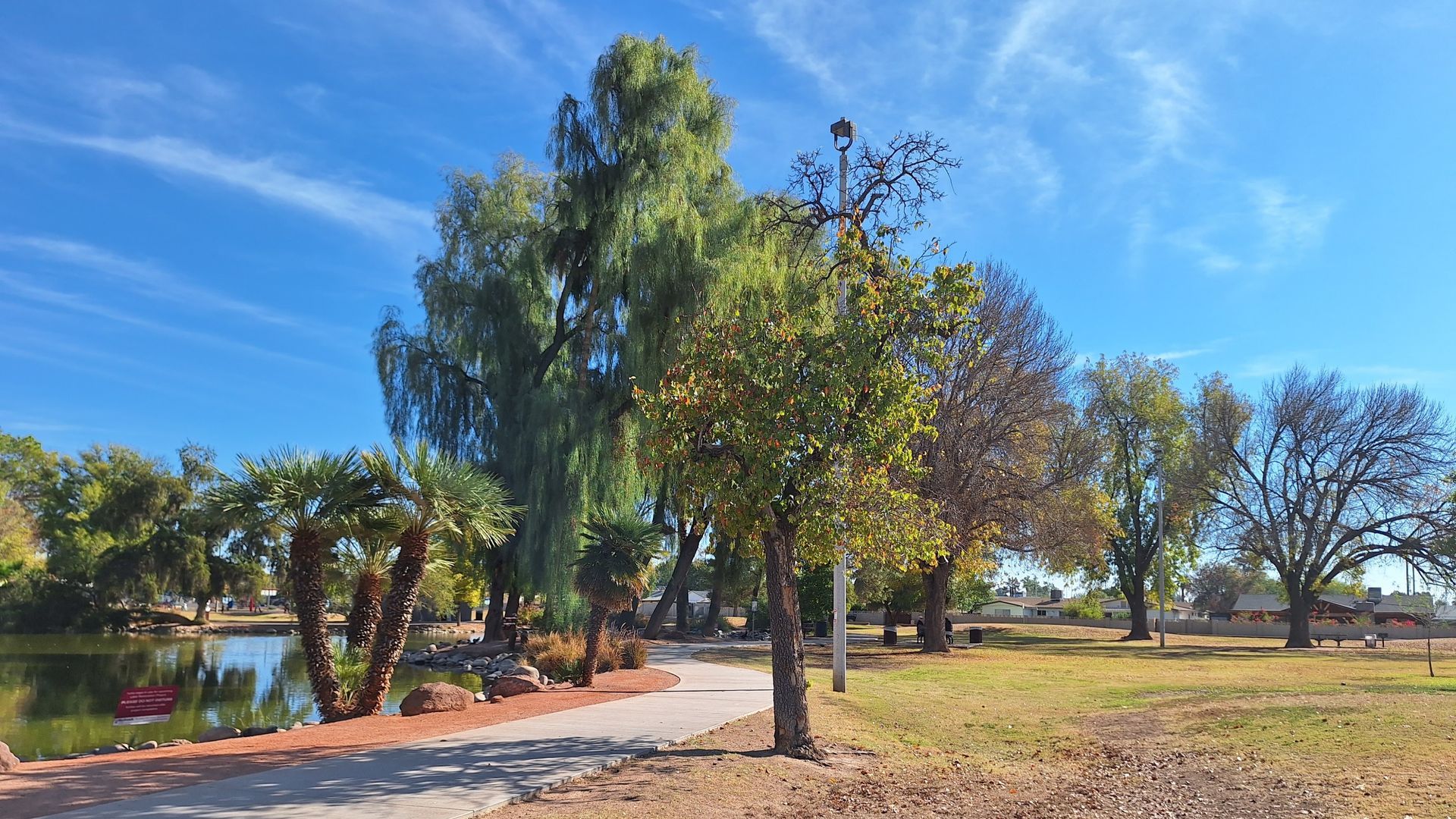 Path winds through park with trees, lake, and blue sky.