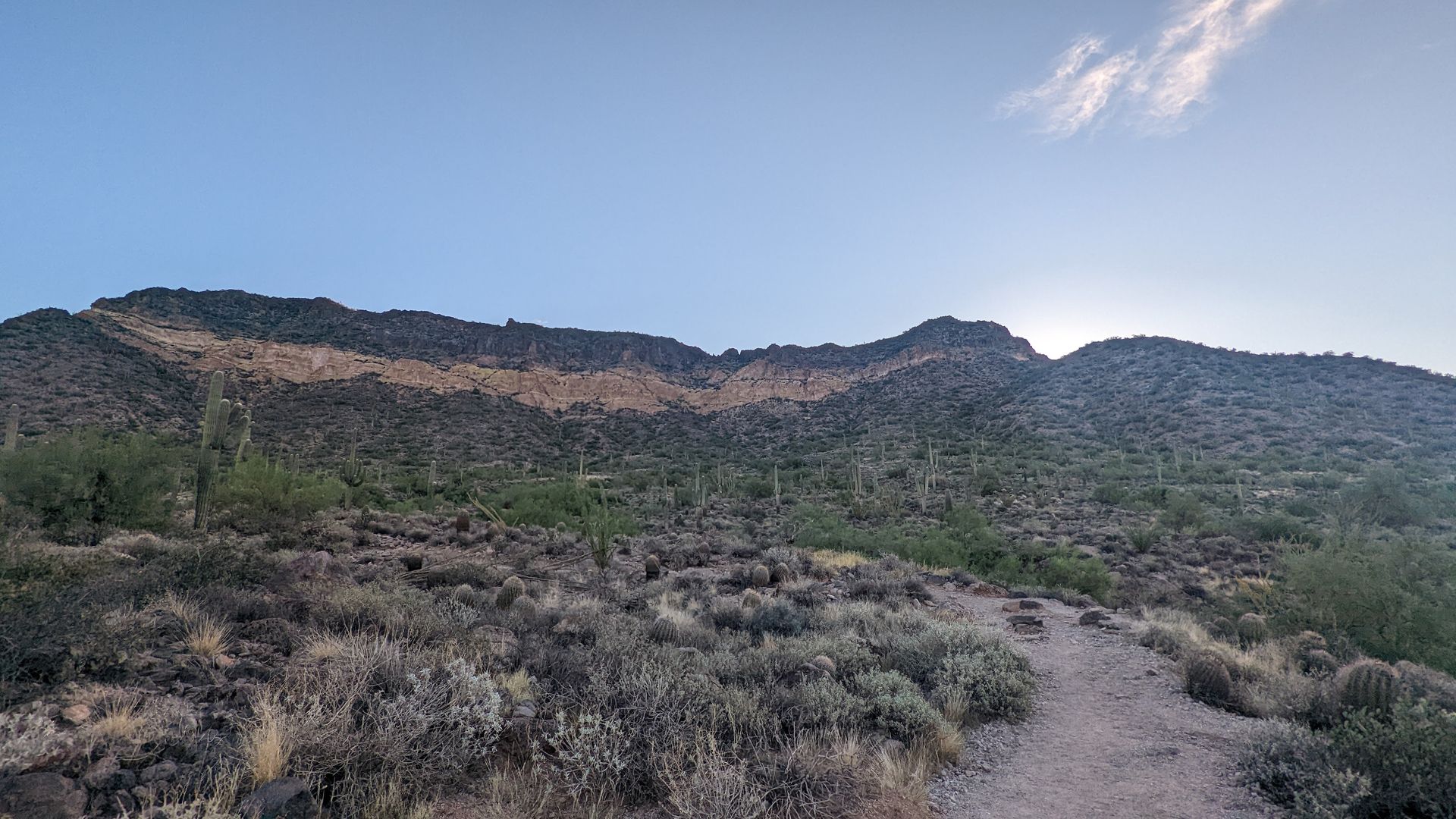 Desert trail winding toward a mountain, cacti and brush under a blue sky, sun peeking over the ridge.