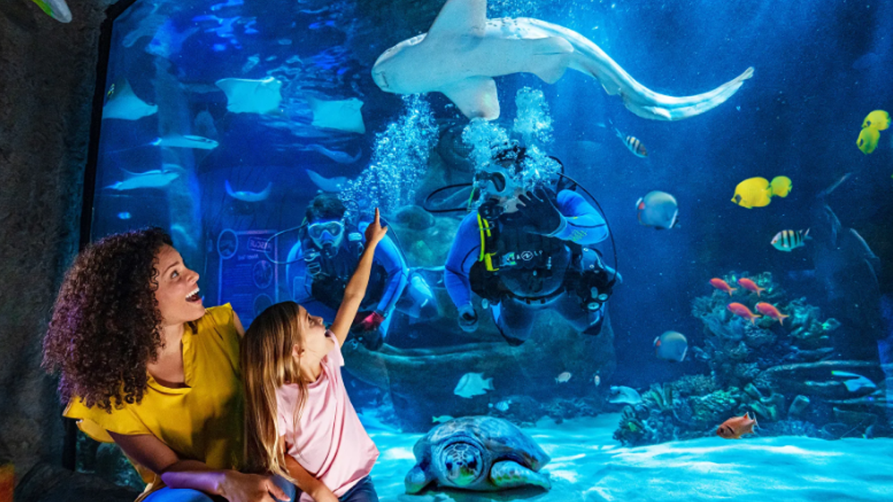 Woman and child point at diver in aquarium tank with fish and shark.
