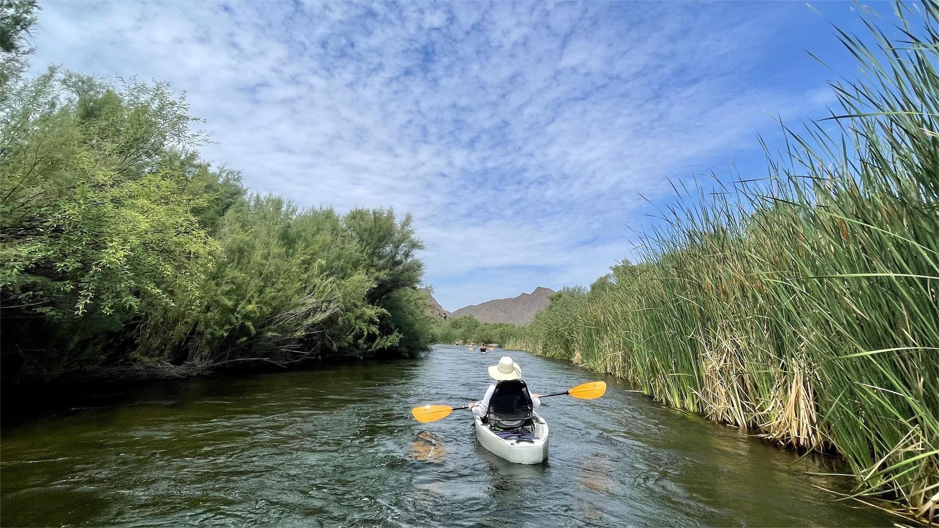 Kayaker paddling through a narrow waterway lined with tall reeds and trees, under a blue, cloudy sky.