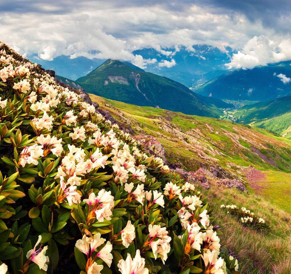 Tennessee Airbnb & Vacation Rental Management