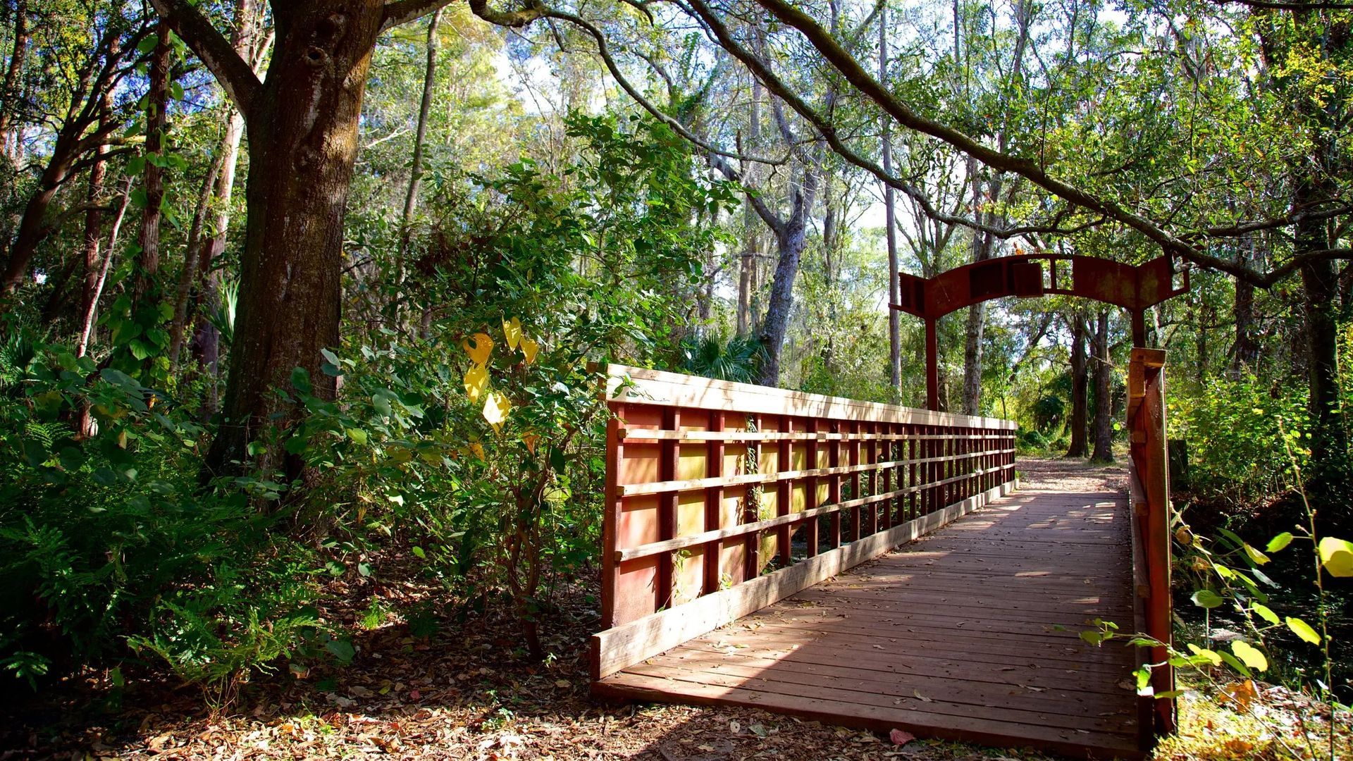 Wooden bridge over a shaded path in a green forest.