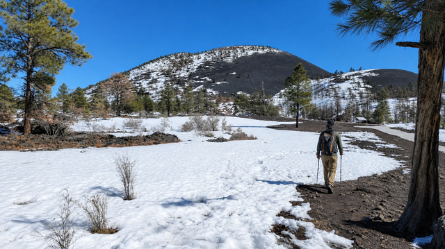 Snowy mountain meadow with scattered pines and a hiker walking along a trail under a clear blue sky
