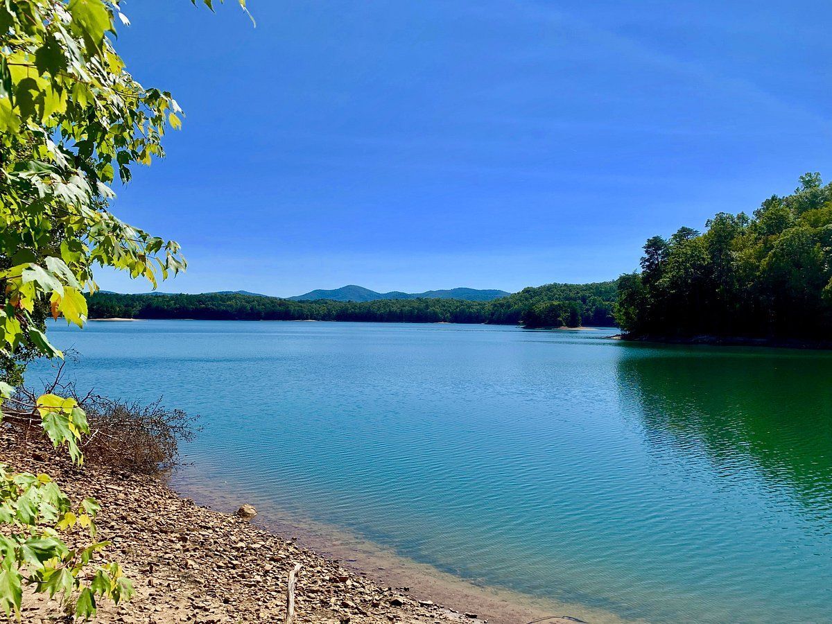 Lake with clear blue water and trees under a bright blue sky.