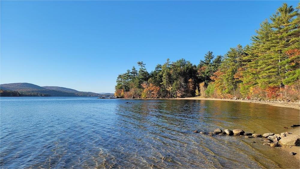 Calm lake with clear water and a sandy shore, bordered by a forest of green and autumn-colored trees under a blue sky.