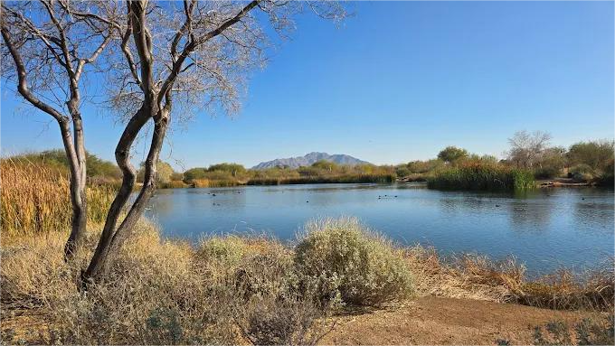 Calm lake surrounded by dry vegetation and trees under a clear blue sky; mountain in the distance.
