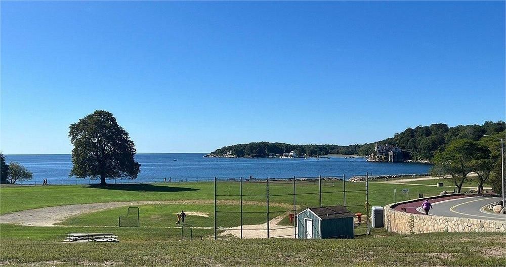 A tree and grassy field overlook a bay with a blue sky. Buildings are on a far shoreline.
