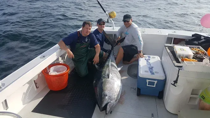 Three people on a boat with a large tuna. One kneels, the others stand.