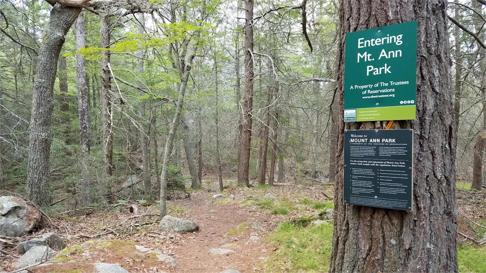 Sign on a tree marks the entrance to Mt. Ann Park with a trail leading into the woods.