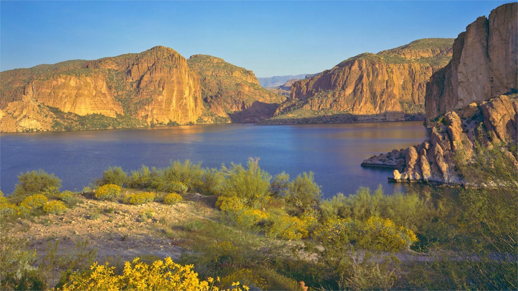 Lake Canyon with golden rock formations and yellow wildflowers under a blue sky.