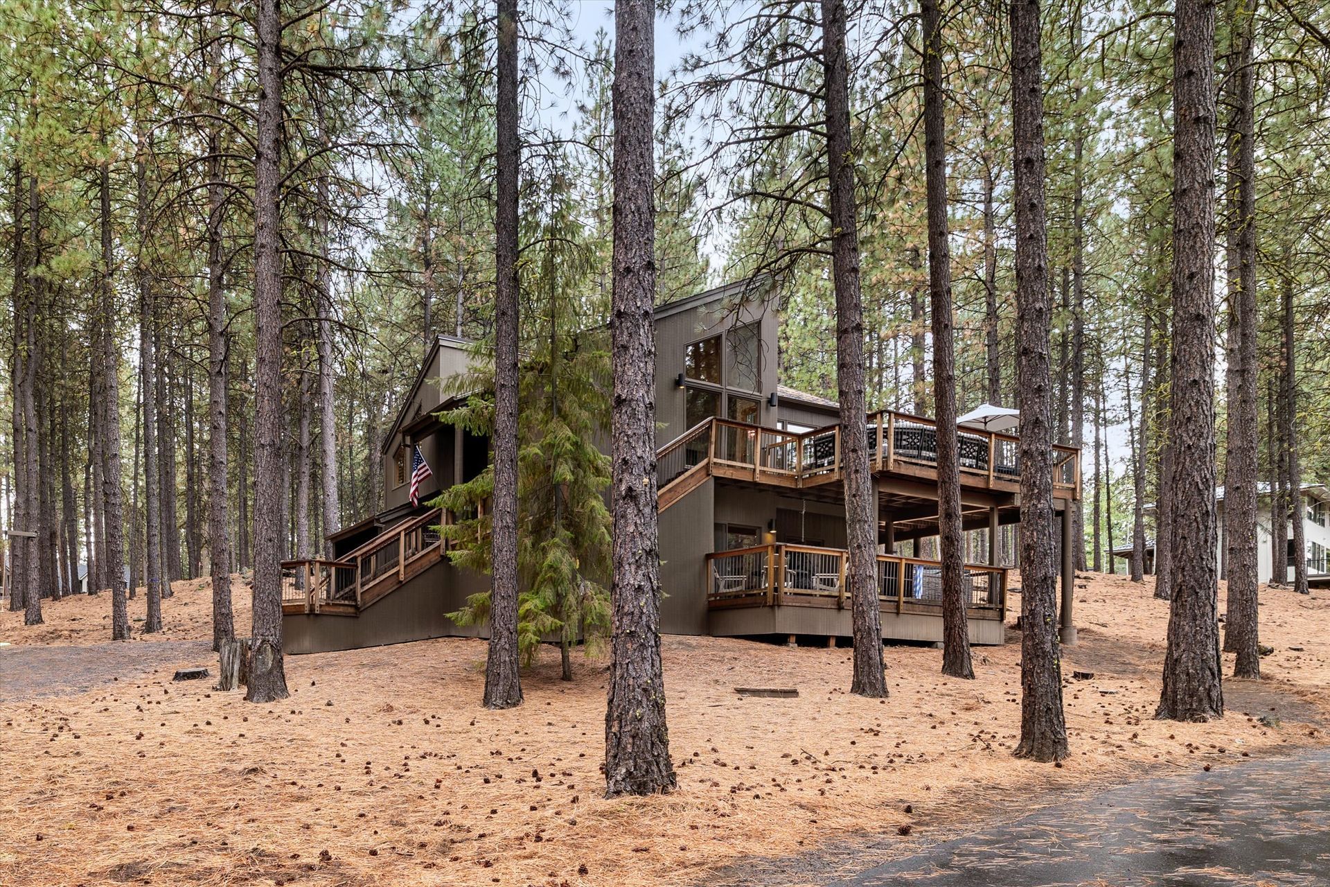 Rustic multi-level cabin among tall pine trees in a forest with a wood-chip ground cover
