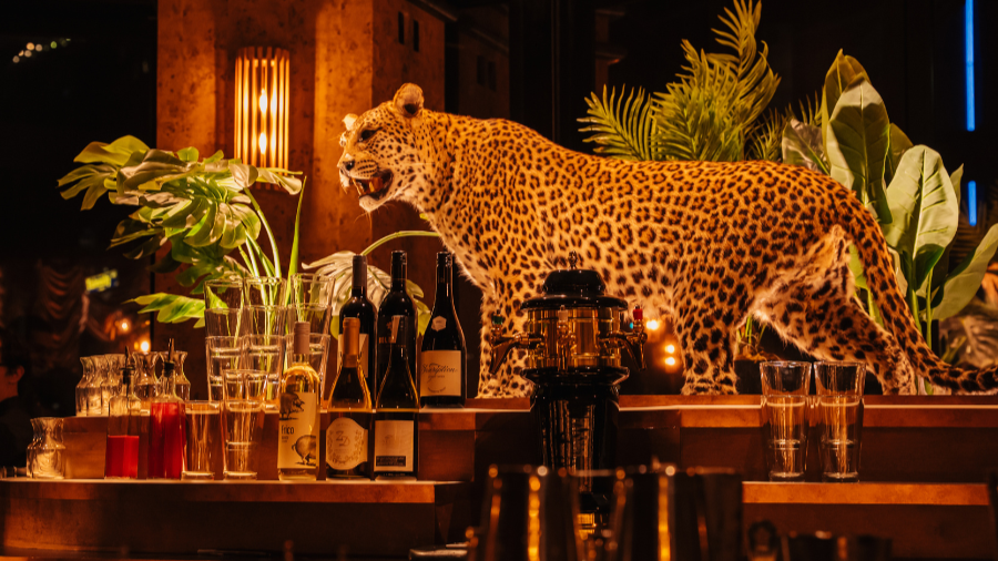 Bar with a large leopard statue, bottles, plants, and glasses, lit by warm lights.