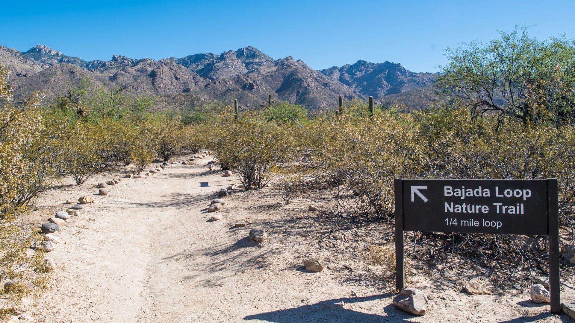 Trail sign for Bajada Loop Nature Trail with mountains in the background.