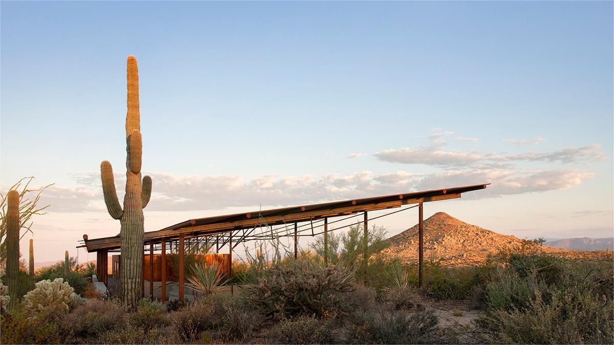 Desert landscape with a shaded structure; a tall saguaro cactus stands in the foreground, with a mountain in the background.