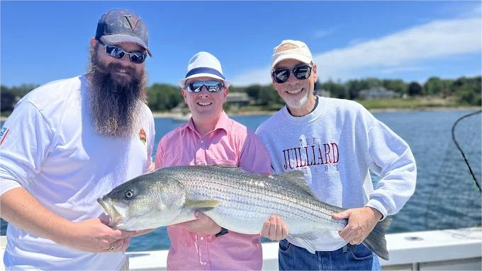 Three men holding a large striped bass on a boat; sunny day.