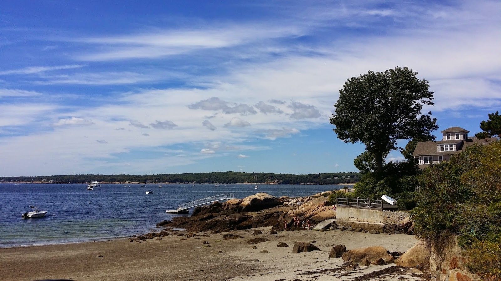 Coastal view with blue sky, boats, rocky shore, tree, and houses in the distance.