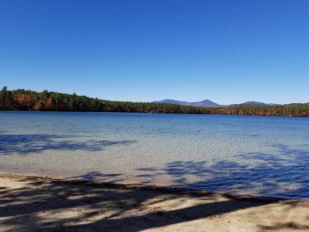 Clear blue lake with sandy shore, trees lining the edge, and mountains in the distance under a bright blue sky.