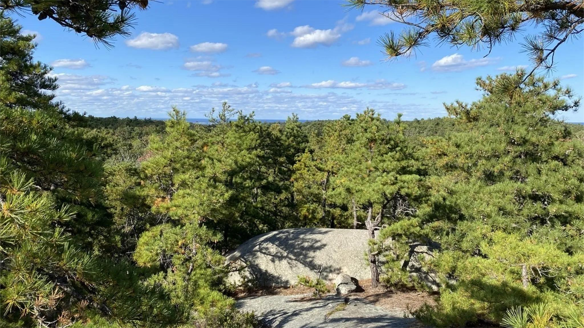 View from a rocky outcrop overlooking a dense green forest under a blue sky with scattered clouds.