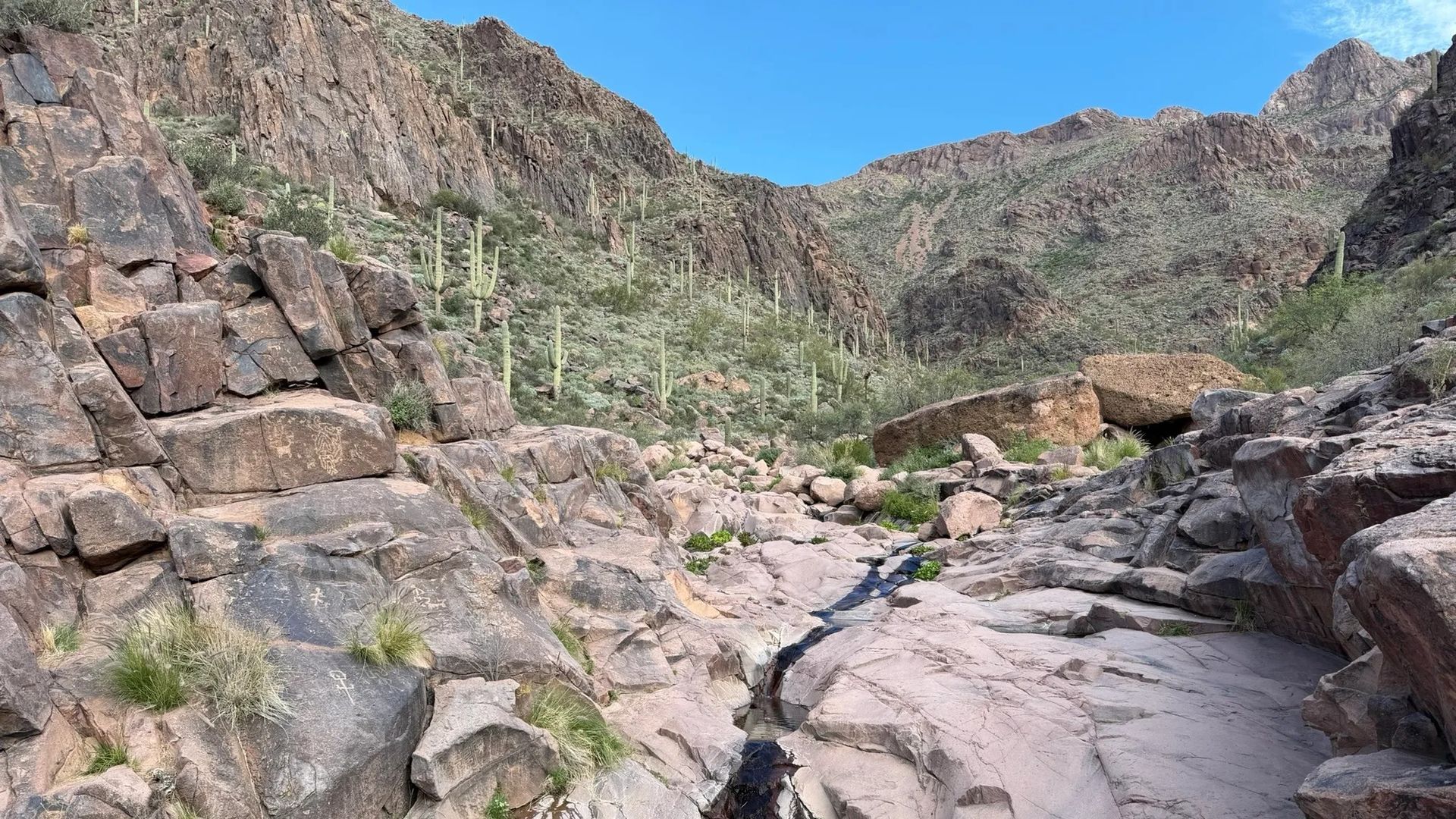Rocky desert canyon with a dry creek bed and saguaro cacti.